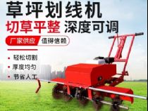 點(diǎn)擊查看詳細(xì)信息<br>標(biāo)題：草皮劃線(xiàn)機(jī) 閱讀次數(shù)：3038